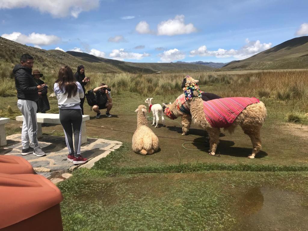 לינה וארוחת בוקר Amazing Huaraz מראה חיצוני תמונה