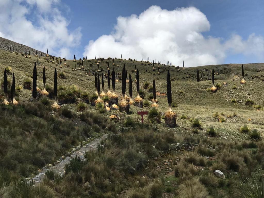 לינה וארוחת בוקר Amazing Huaraz מראה חיצוני תמונה