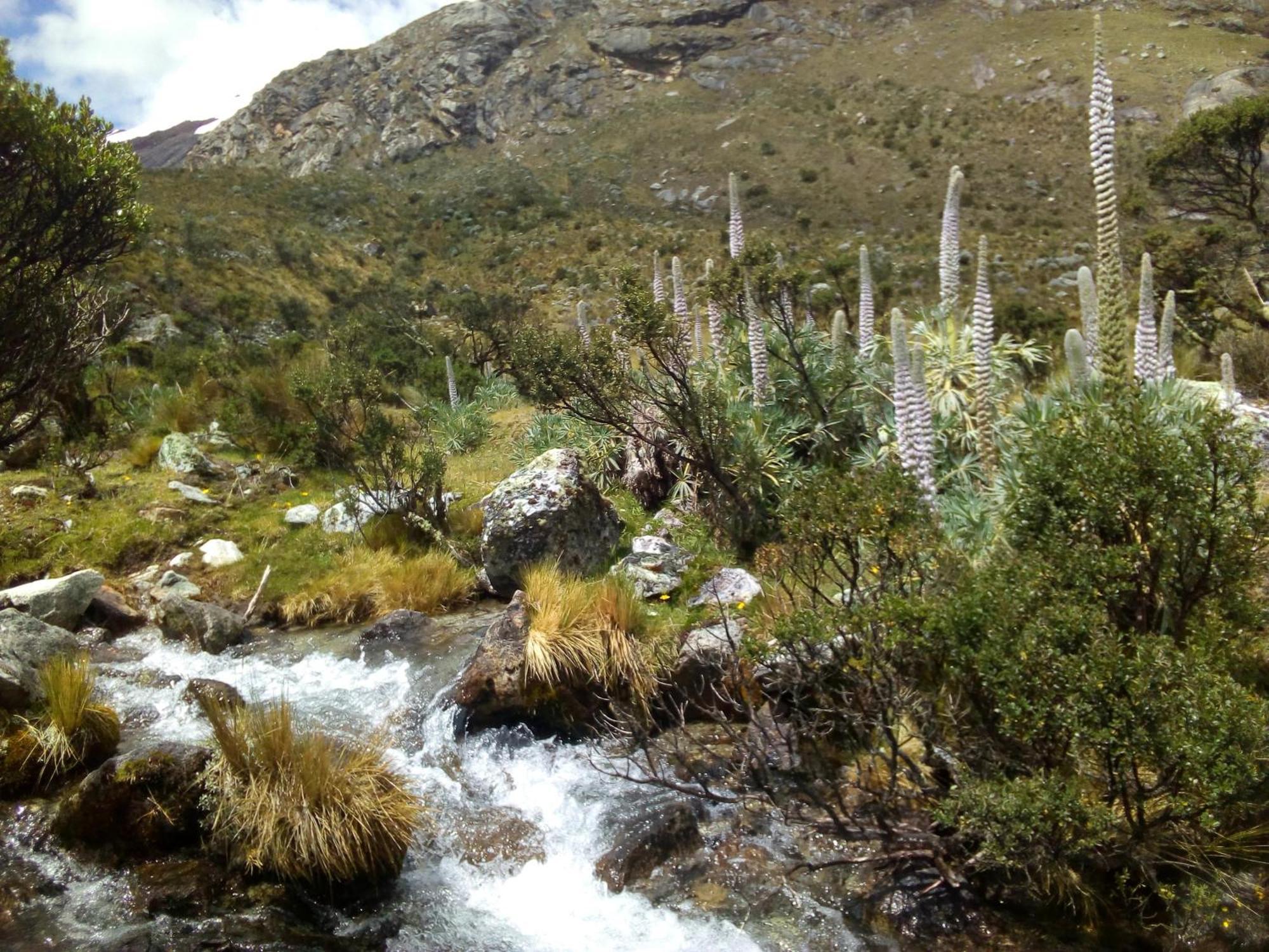 לינה וארוחת בוקר Amazing Huaraz מראה חיצוני תמונה