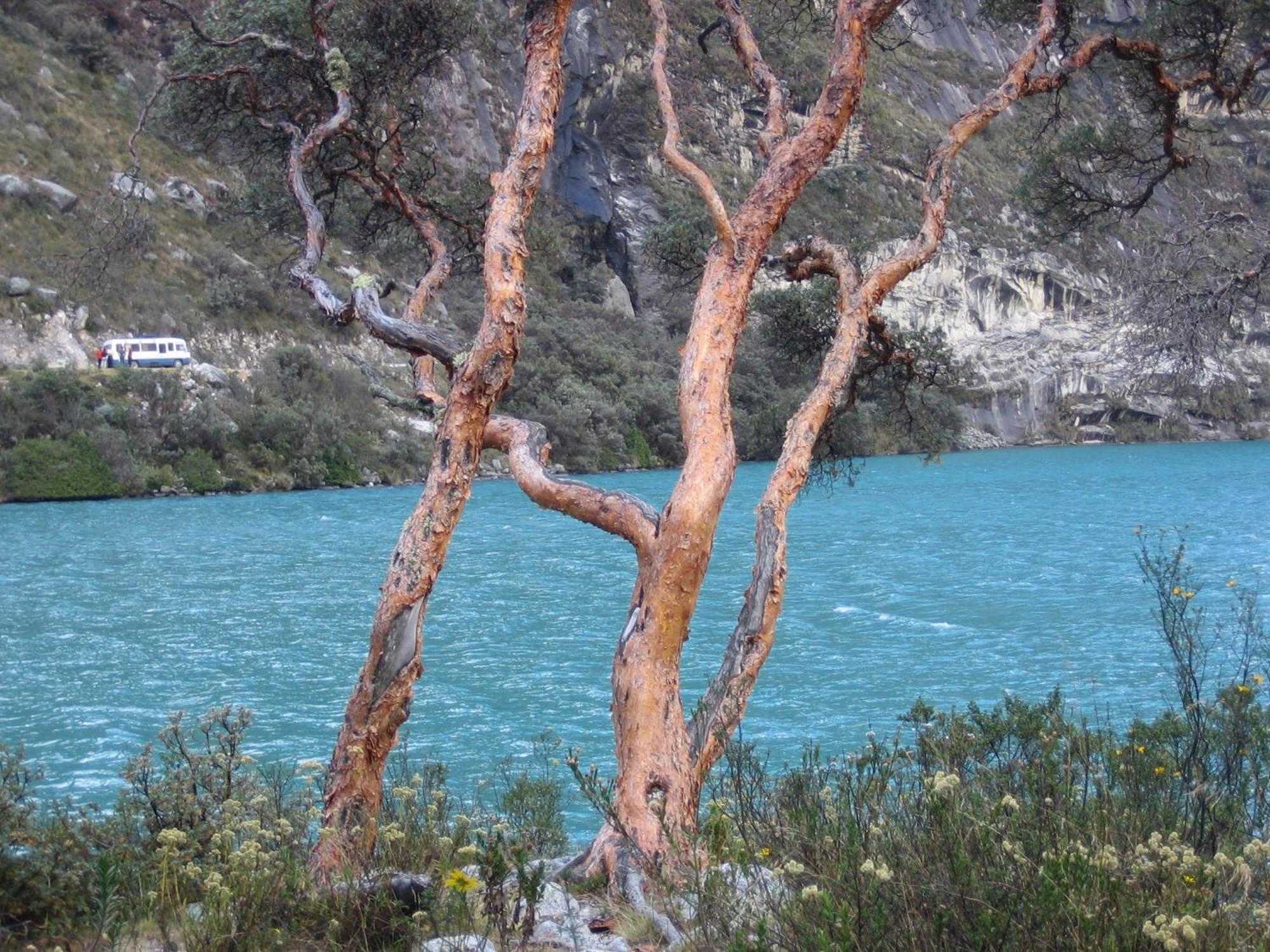 לינה וארוחת בוקר Amazing Huaraz מראה חיצוני תמונה